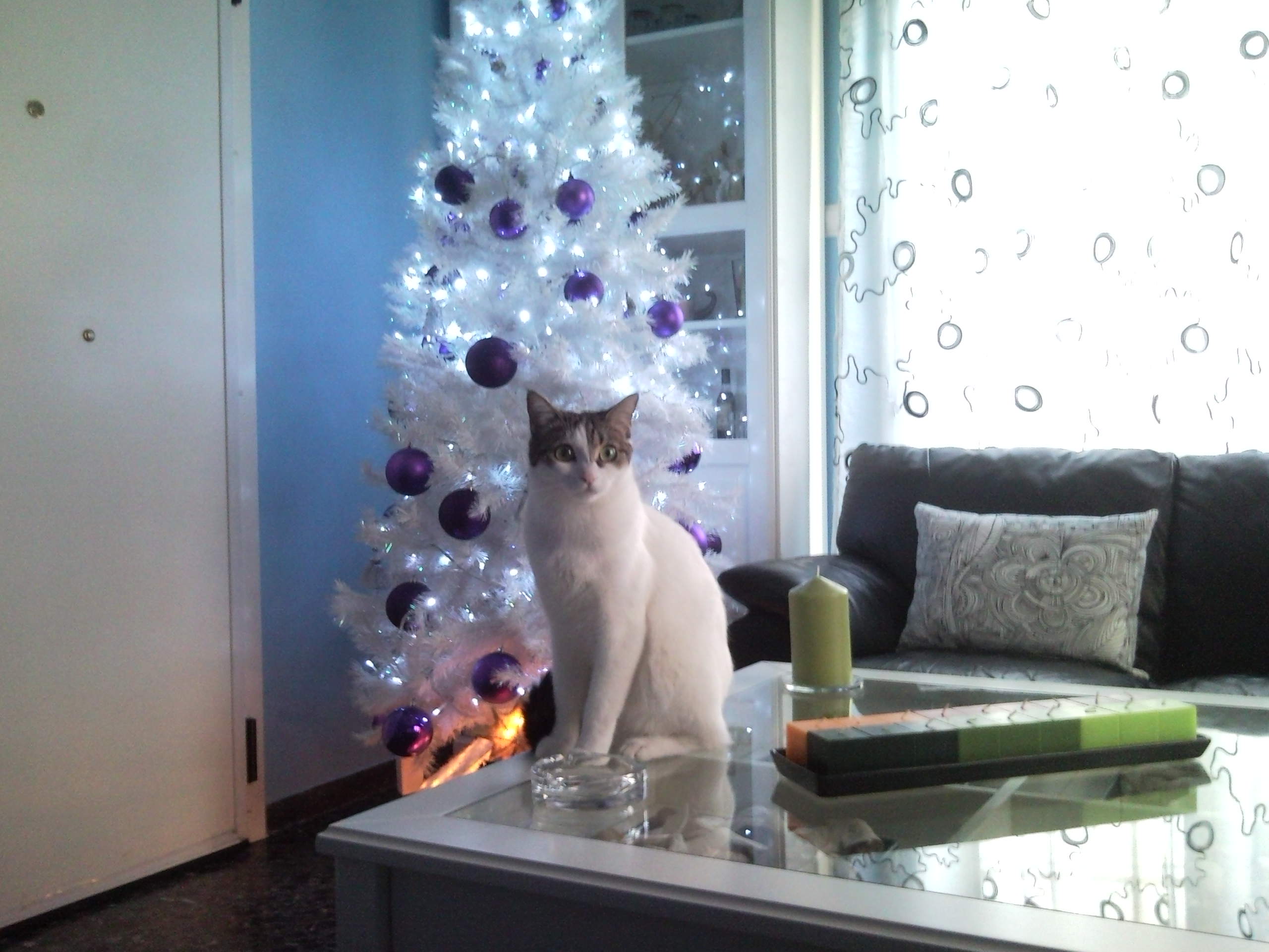 %CE%86%CF%81%CF%84%CE%B5%CE%BC%CE%B9%CF%82-192-jpg.180074