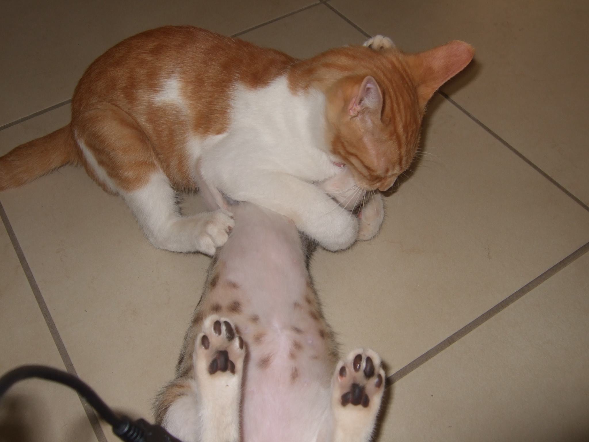 %CE%91%CE%A1%CE%97%CE%A316-jpg.185045