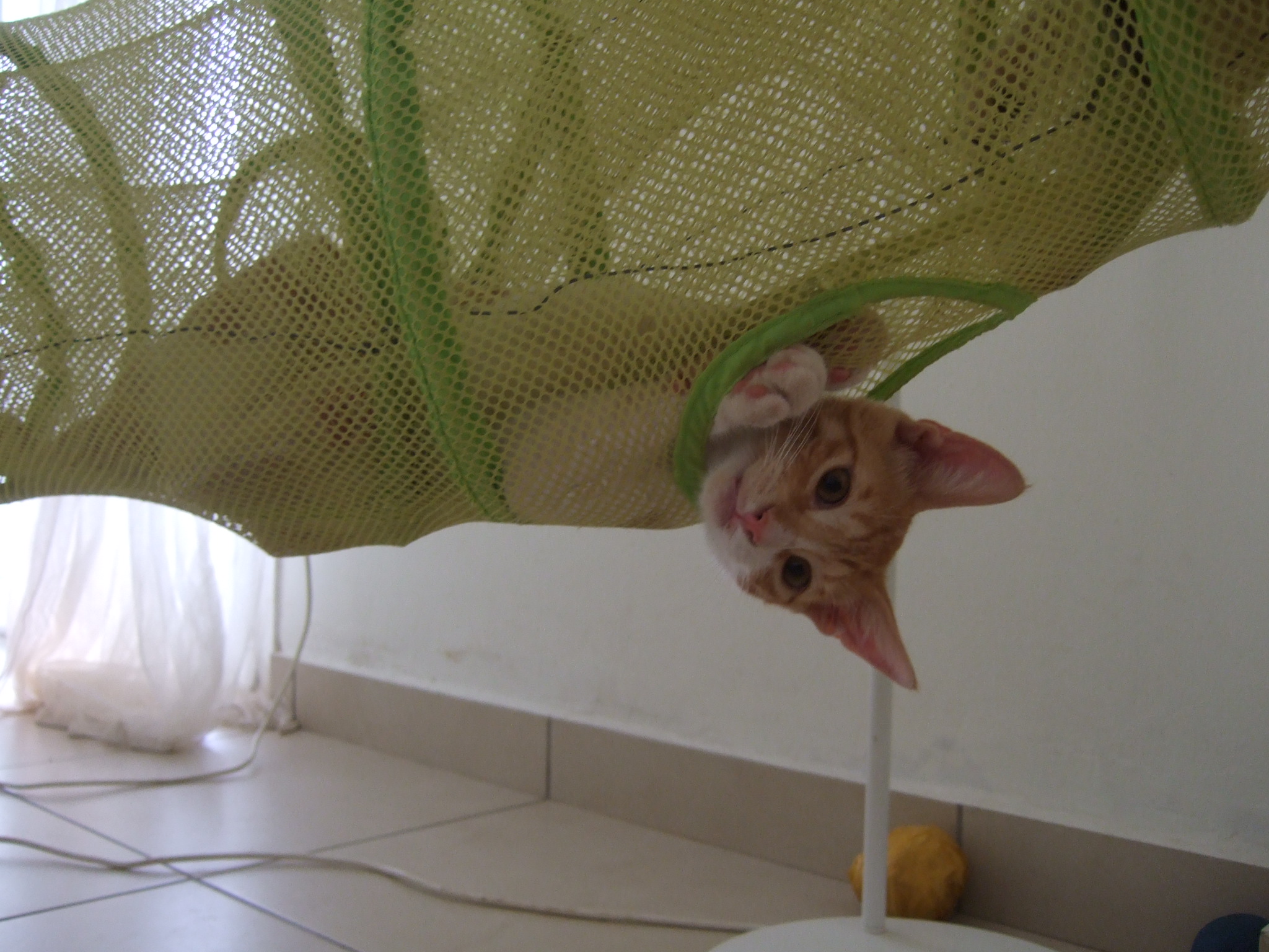 %CE%91%CE%A1%CE%97%CE%A318-jpg.185041