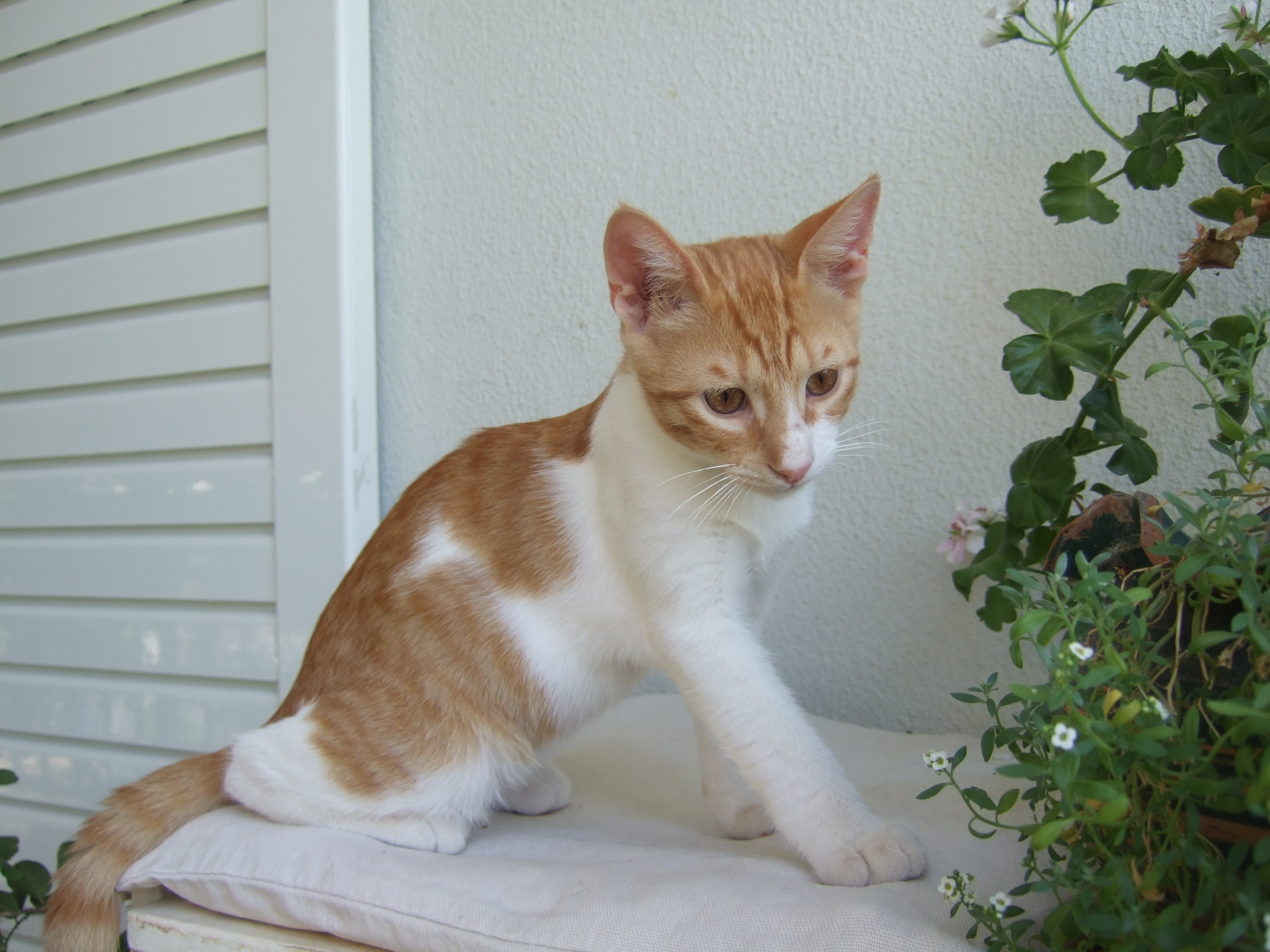 %CE%91%CE%A1%CE%97%CE%A320-jpg.185044