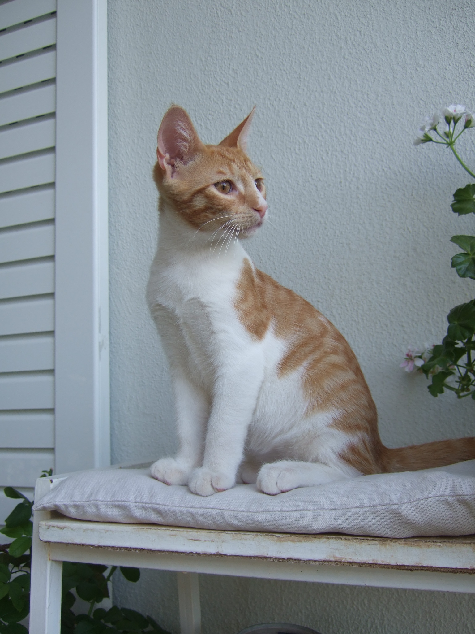 %CE%91%CE%A1%CE%97%CE%A324-jpg.185042