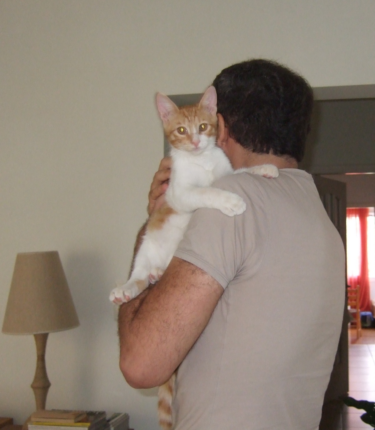 %CE%91%CE%A1%CE%97%CE%A328-jpg.185040