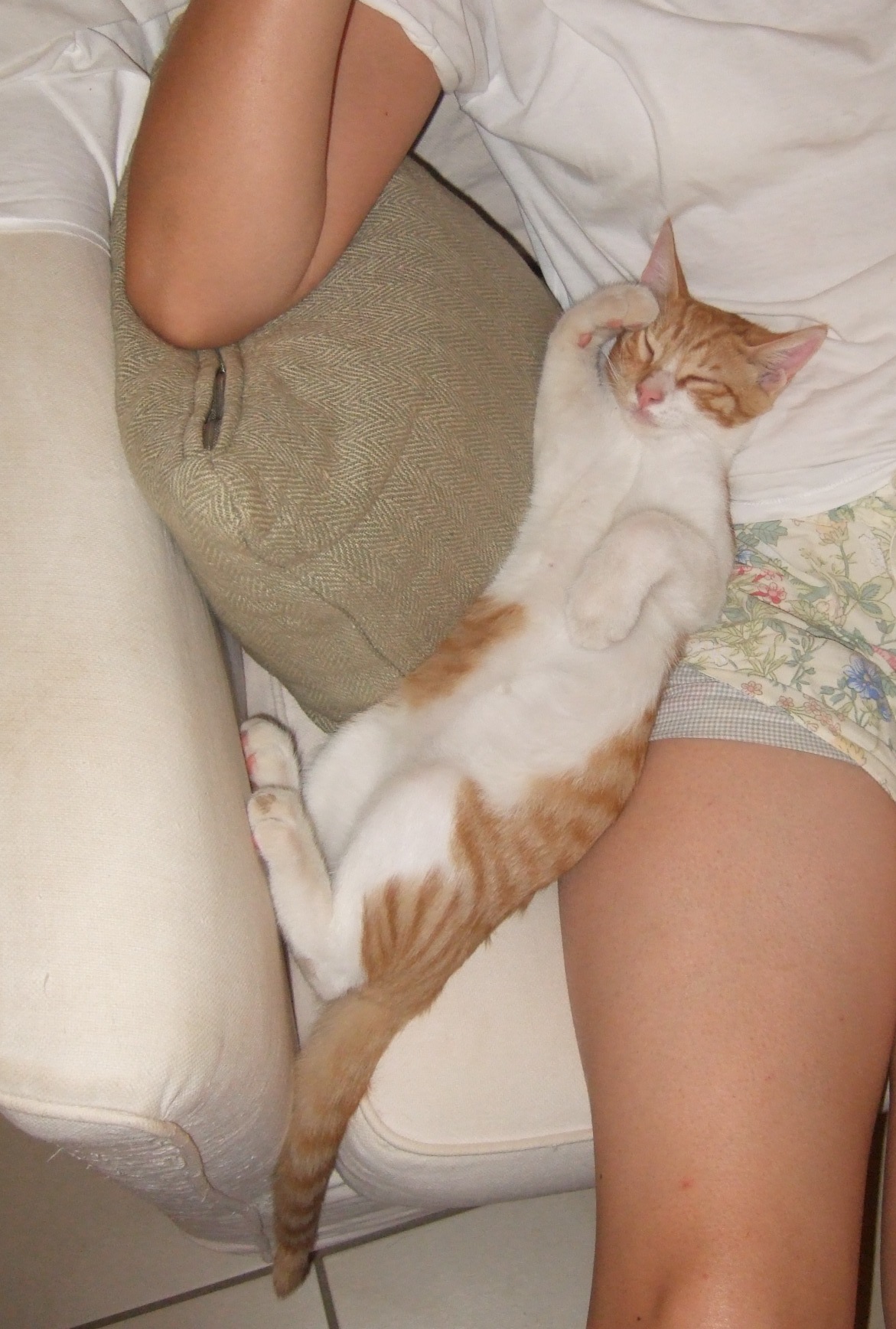 %CE%91%CE%A1%CE%97%CE%A39-jpg.185047