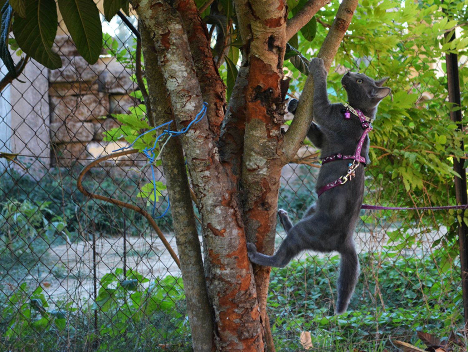 %CE%95%CE%B9%CE%BA%CF%8C%CE%BD%CE%B1-078-jpg.184421