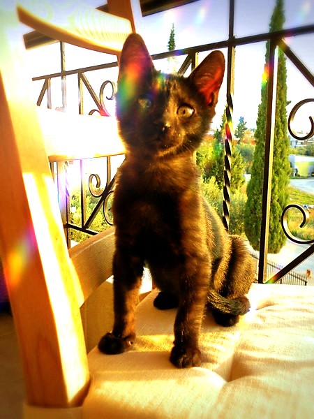 %CE%9C%CE%B9%CE%BD%CE%BF%CF%85%CF%84%CE%BF2-jpg.172105