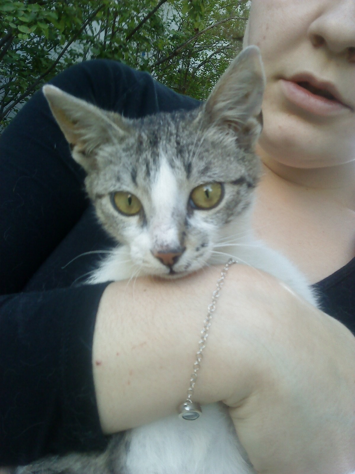 %CE%9D%CE%B9%CE%BD%CE%BF2-jpg.171249