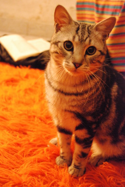 %CE%A1%CE%B5%CE%BC%CF%80%CE%BF%CF%85%CF%82-jpg.170079