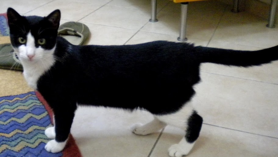 %CE%A3%CE%BF%CE%B2%CE%B1%CF%81%CE%B7-%CE%9A%CF%85%CF%81%CE%B9%CE%B1-jpg.171029