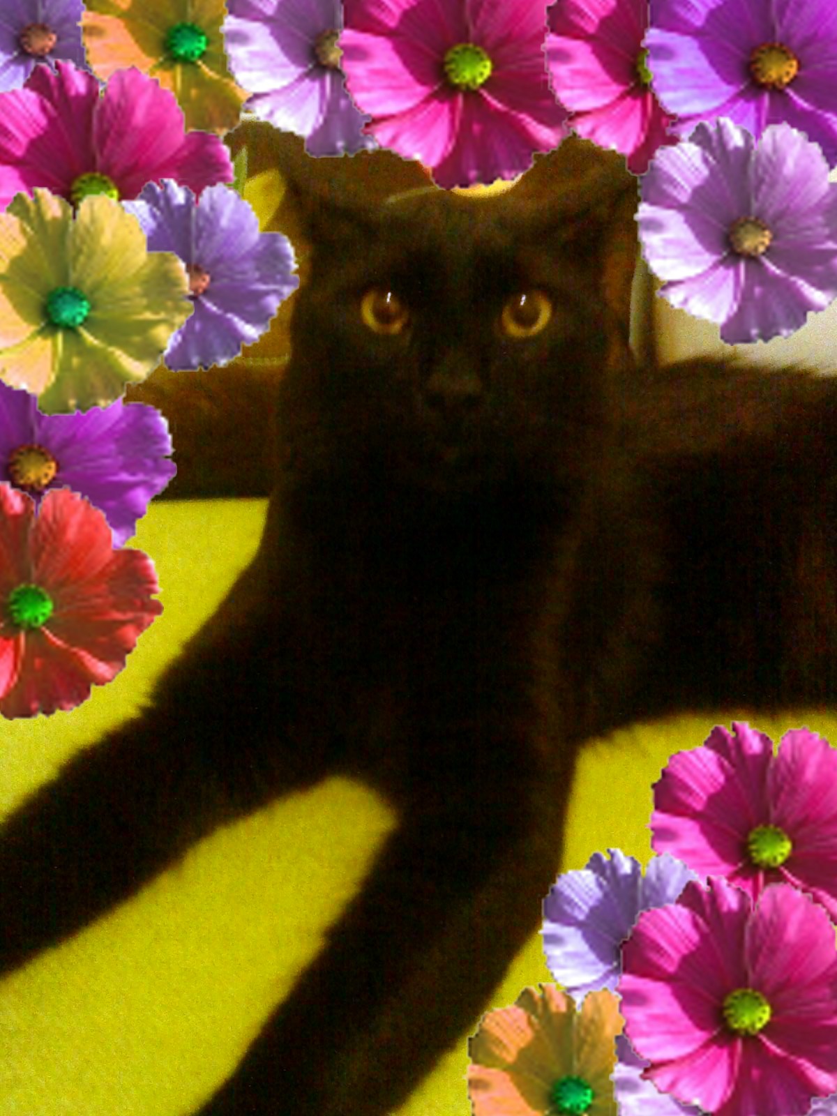 %CE%A5%CF%88%CE%B9%CF%83%CF%84%CE%BF%CF%82-%CE%9C%CF%80%CE%BB%CE%B1%CE%BA-jpg.172690