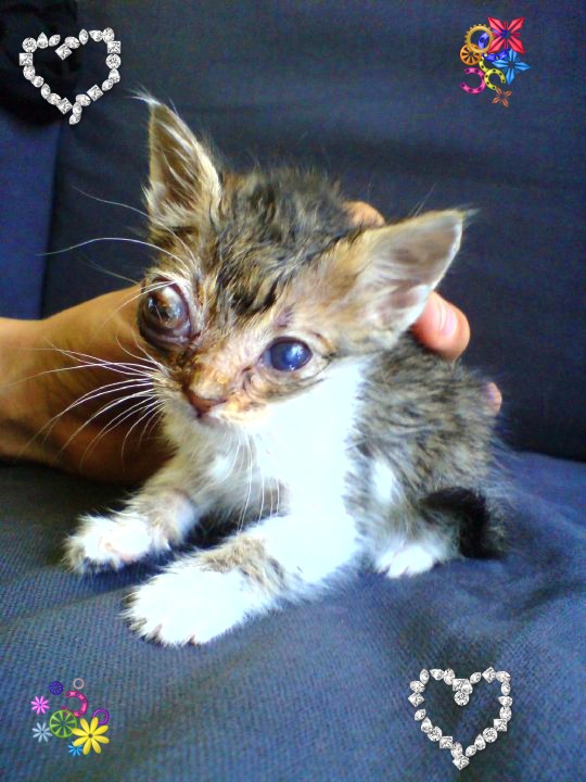 %CE%A6%CE%B9%CE%BB%CE%BF%CE%BE%CE%B5%CE%BD%CE%B1%CE%BA%CE%B9-%CE%9C%CE%B9%CE%BB%CE%B7%CF%82-jpg.171518