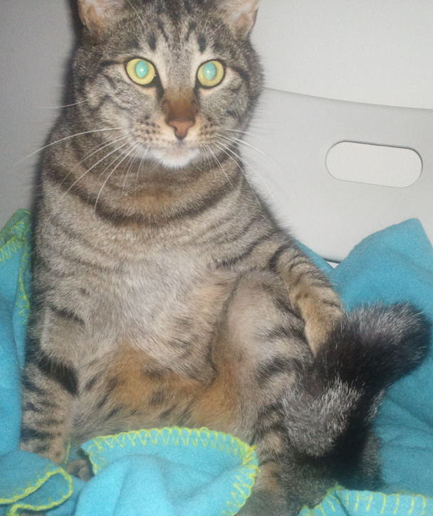 %CE%A6%CF%89%CF%84%CE%BF%CE%B3%CF%81%CE%B1%CF%86%CE%AF%CE%B10020ewwww-jpg.174399