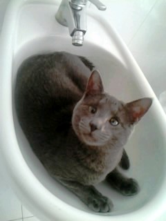 %CE%A6%CF%89%CF%84%CE%BF%CE%B3%CF%81%CE%B1%CF%86%CE%AF%CE%B10158-jpg.178314