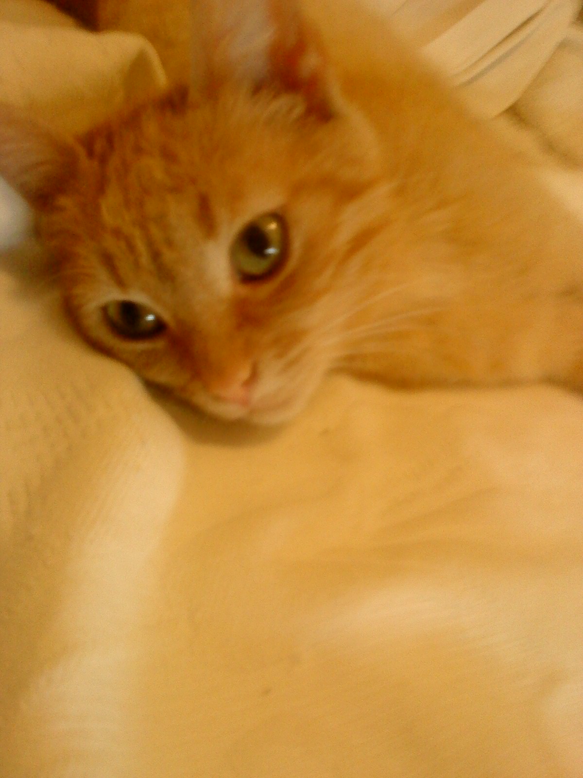 %CE%A7%CF%81%CF%85%CF%83%CE%B7-%CE%BB%CE%B9%CE%BC%CE%BD%CE%B7-jpg.170867