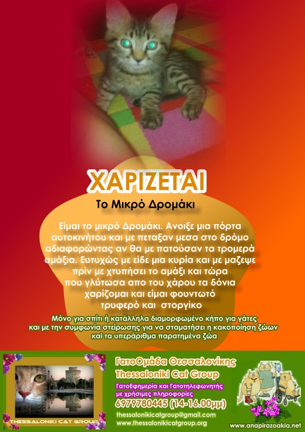 %CE%B4%CF%81%CE%BF%CE%BC%CE%B1%CE%BA%CE%B9-jpg.173416