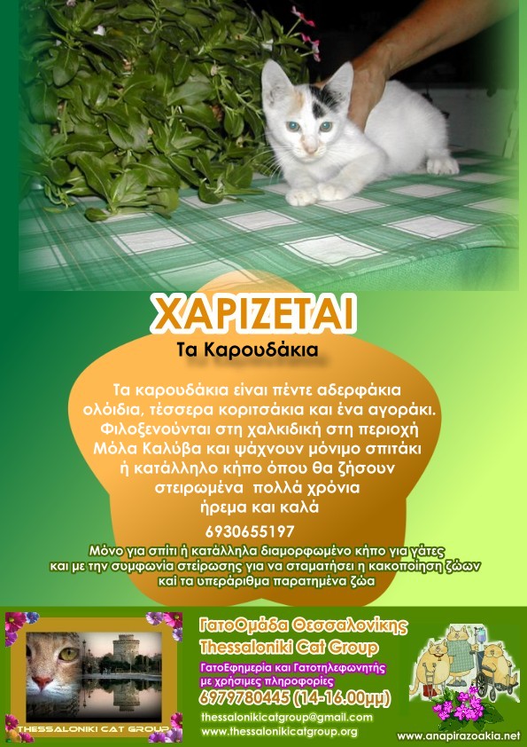 %CE%BA%CE%B1%CF%81%CE%BF%CF%85%CE%B4%CE%B1%CE%BA%CE%B9%CE%B1-jpg.173417