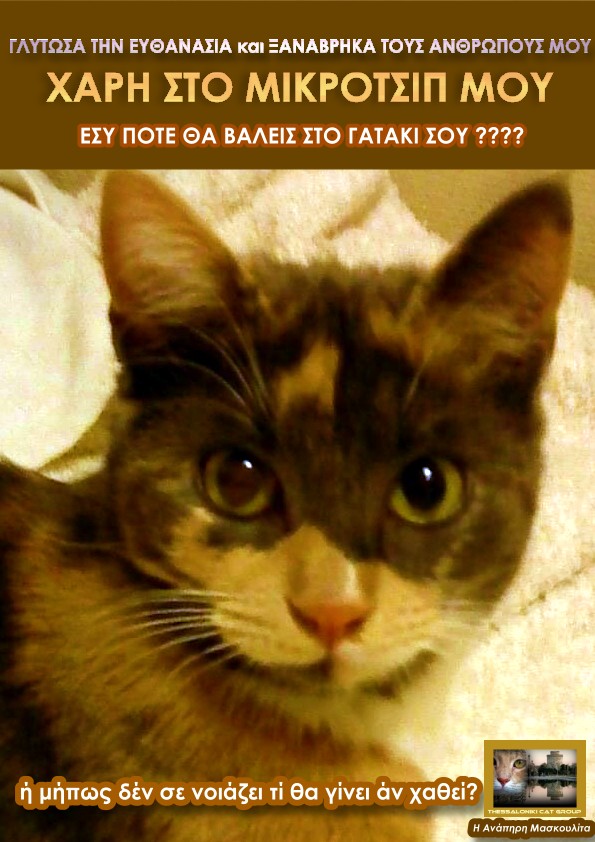 %CE%BC%CE%B9%CE%BA%CF%81%CE%BF%CF%84%CF%83%CE%B9%CF%80-jpg.173418