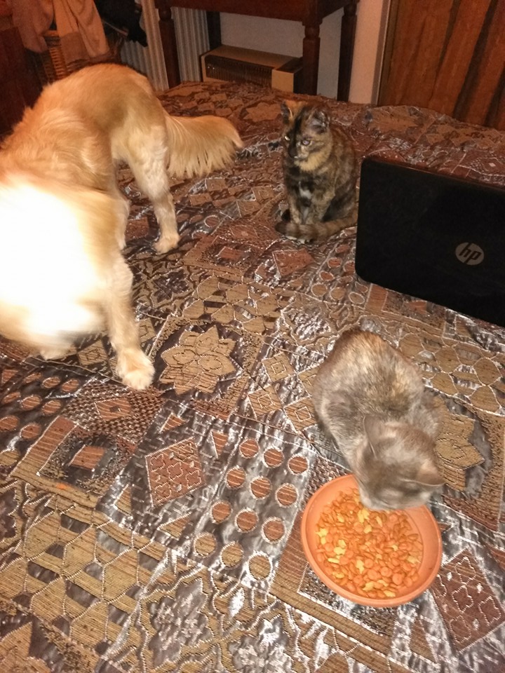 %CF%86%CE%B9%CF%86%CE%B7_newhome-jpg.184585