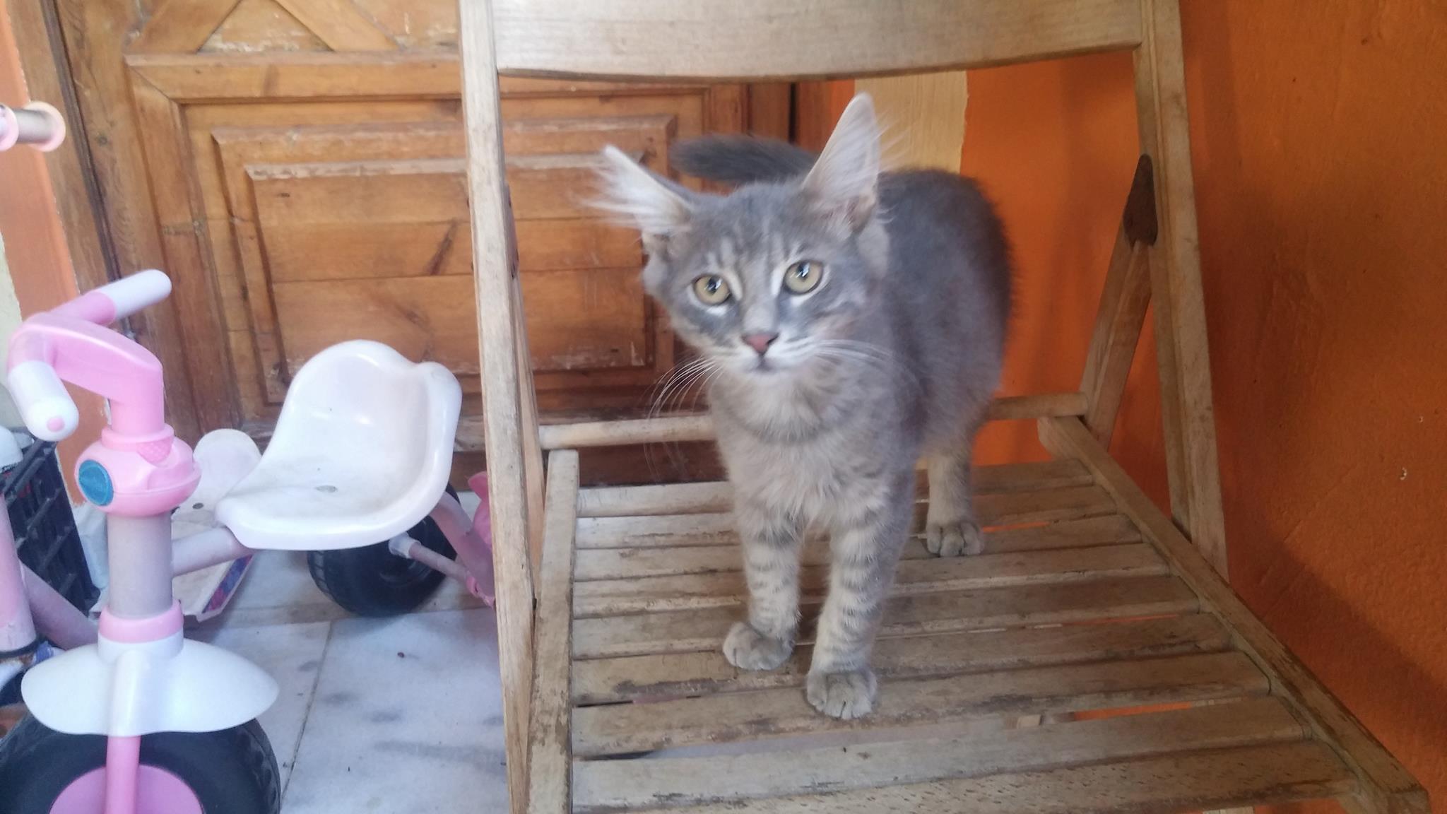 13692127_10210225718021621_985965835_o-jpg.184881