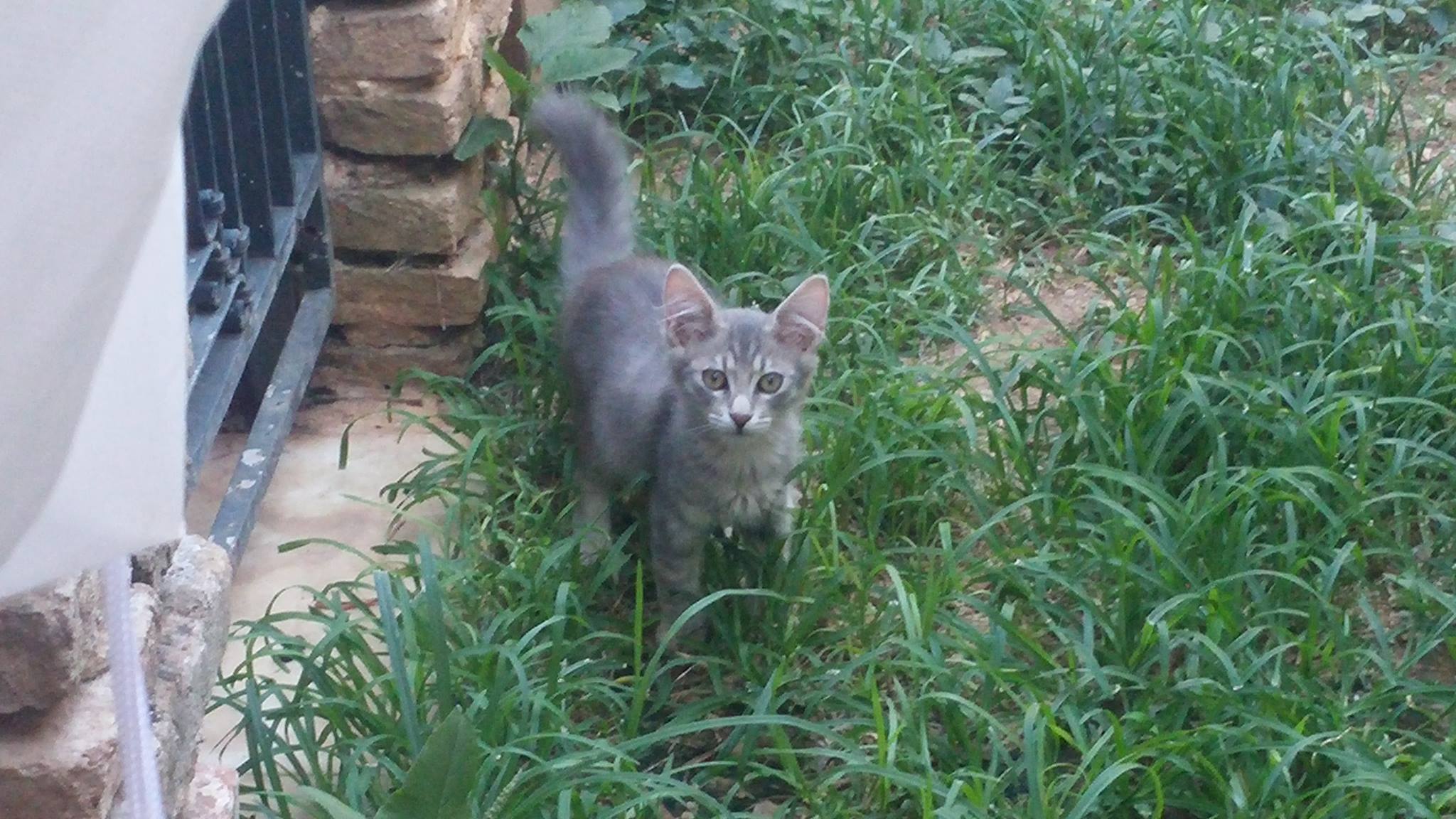 13699524_10210225716461582_548895094_o-jpg.184882