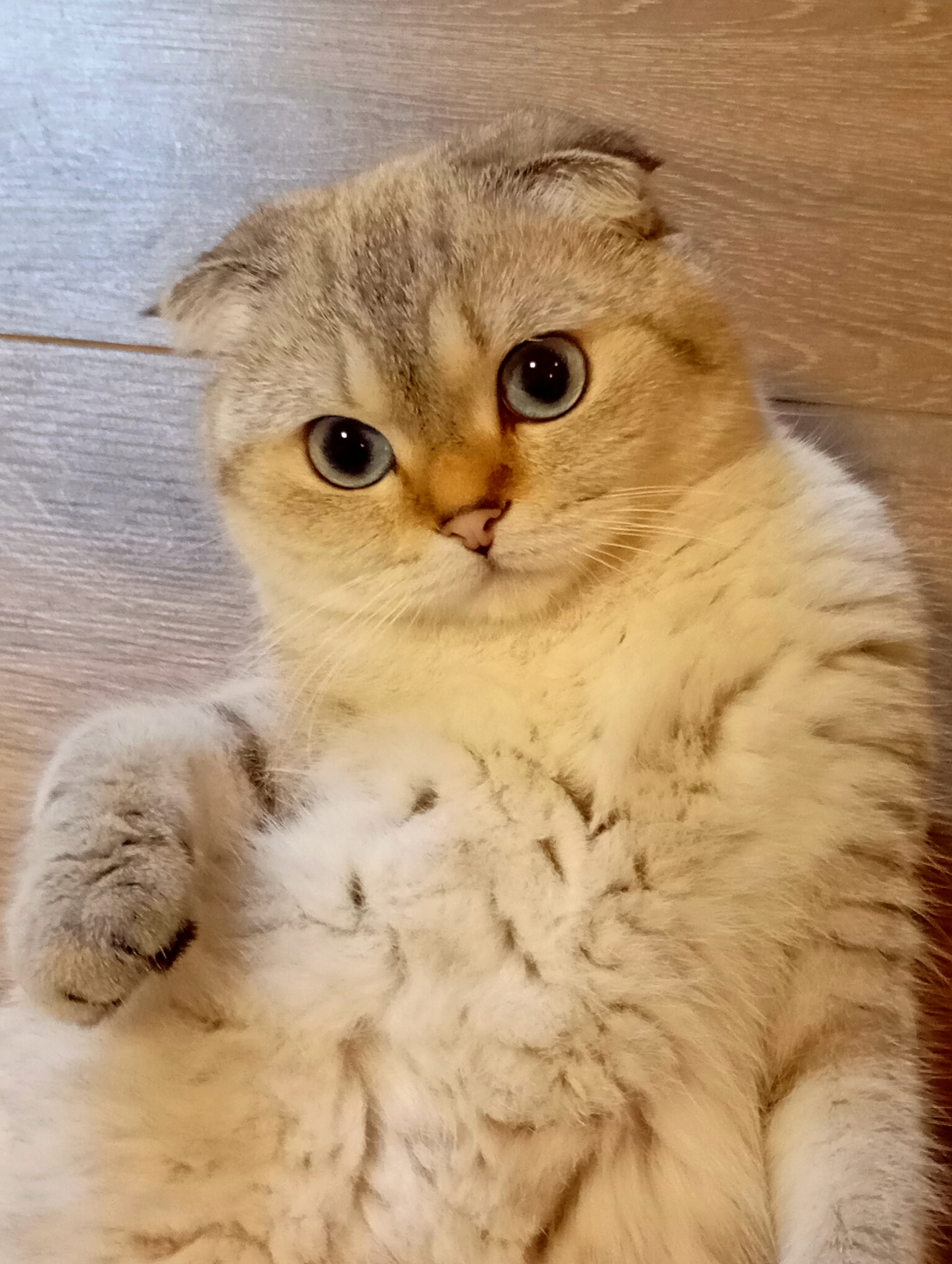 1775764241829 (1).jpg