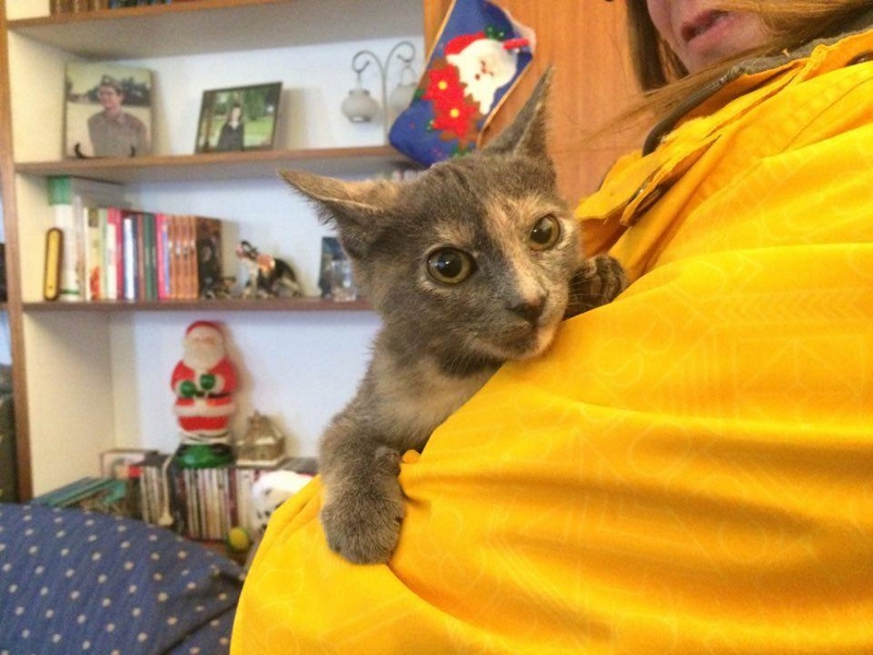 1_n-800x600-jpg.185183