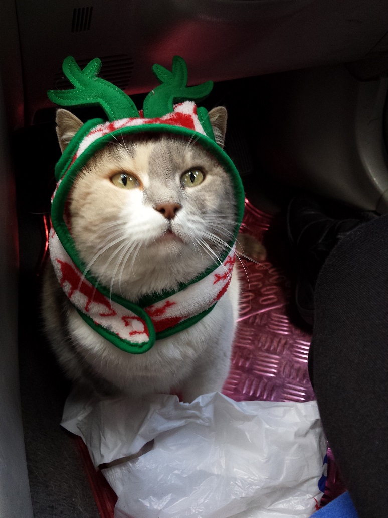 20131210_134331aaa-jpg.182382