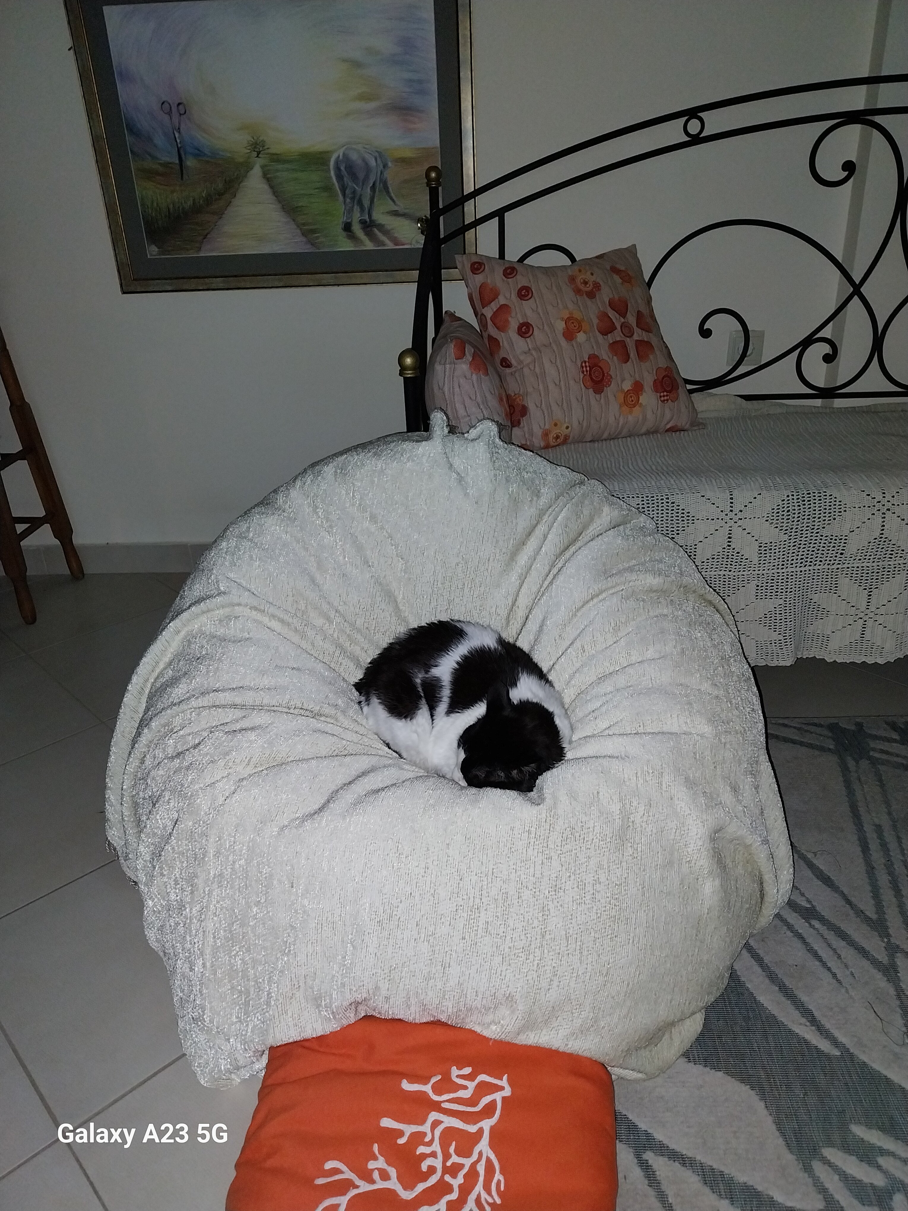 20240225_203445 - Αντιγραφή.jpg