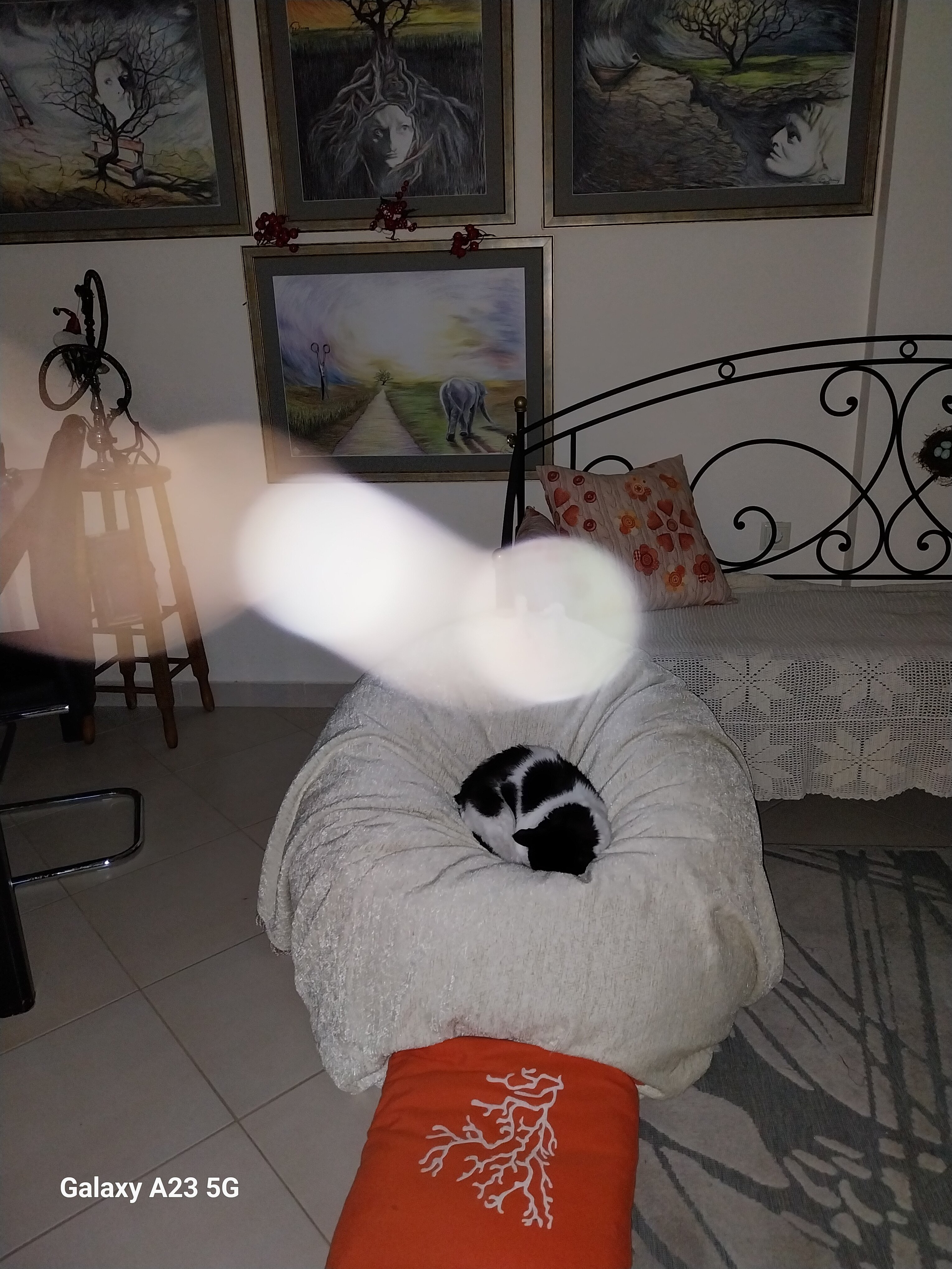 20240225_203510 - Αντιγραφή.jpg