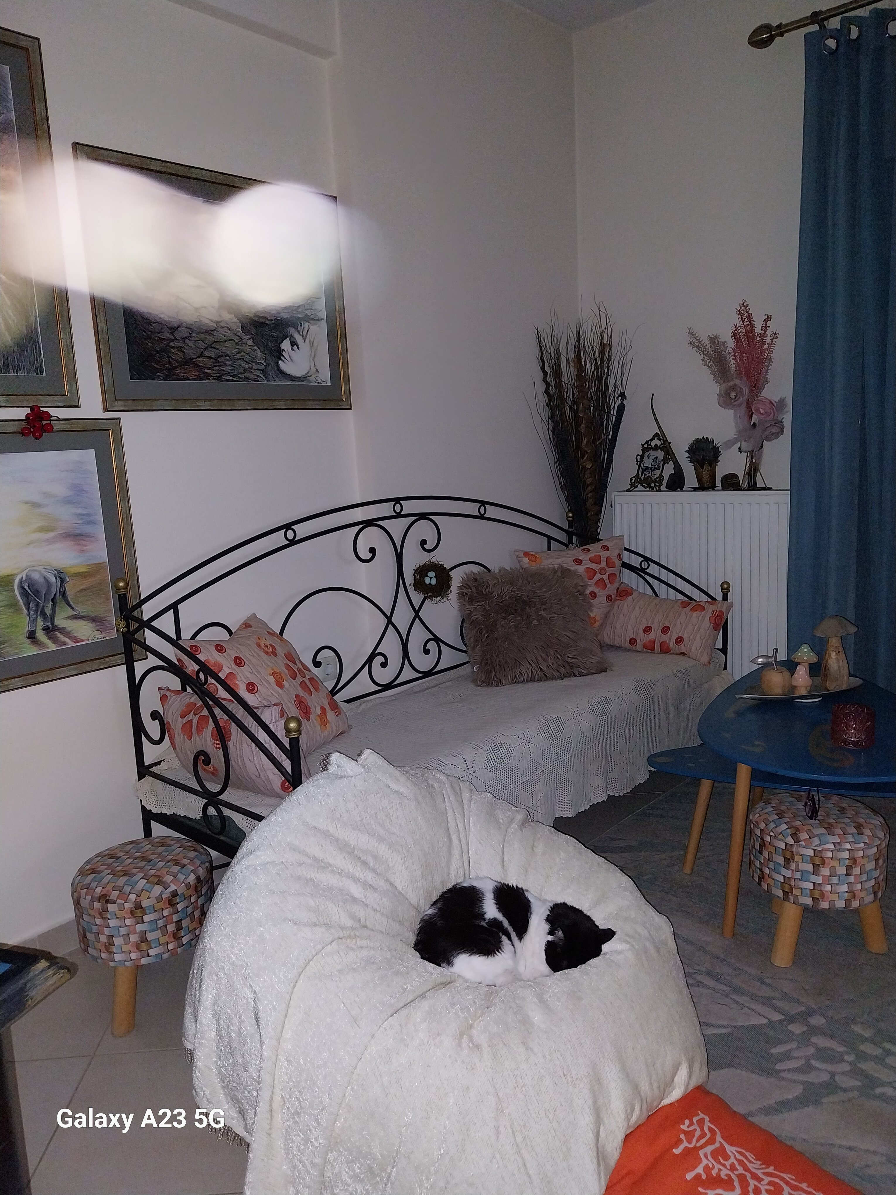 20240225_203525 - Αντιγραφή.jpg