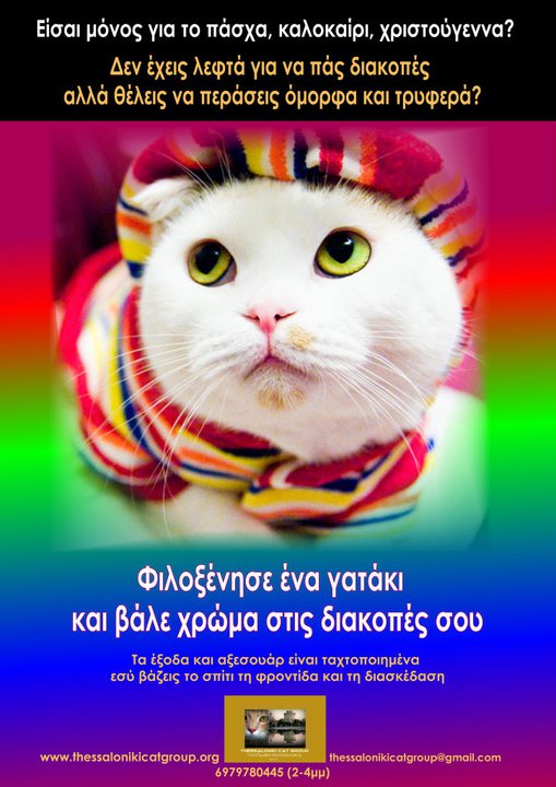 207345_202616023093178_161825510505563_622756_1020556_n-jpg.175403