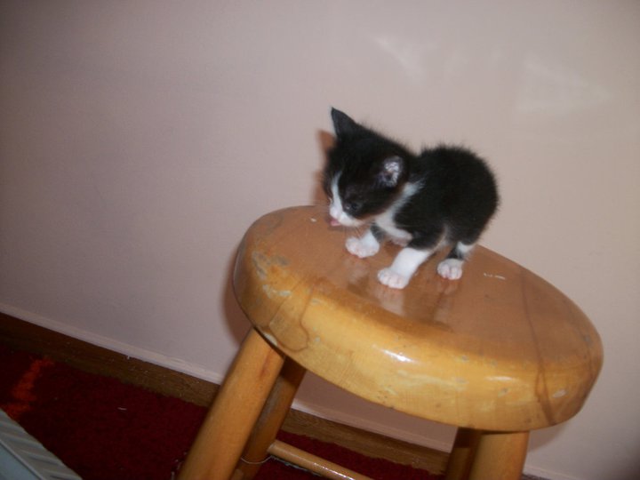 216707_1977530922895_1381780877_32302390_231813_n-jpg.175248