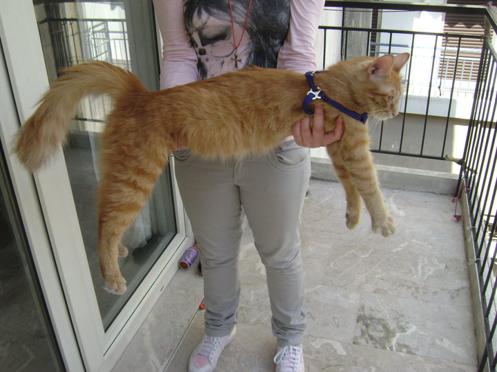 28469_116909441675177_100000683658642_149043_4836980_n-jpg.171283