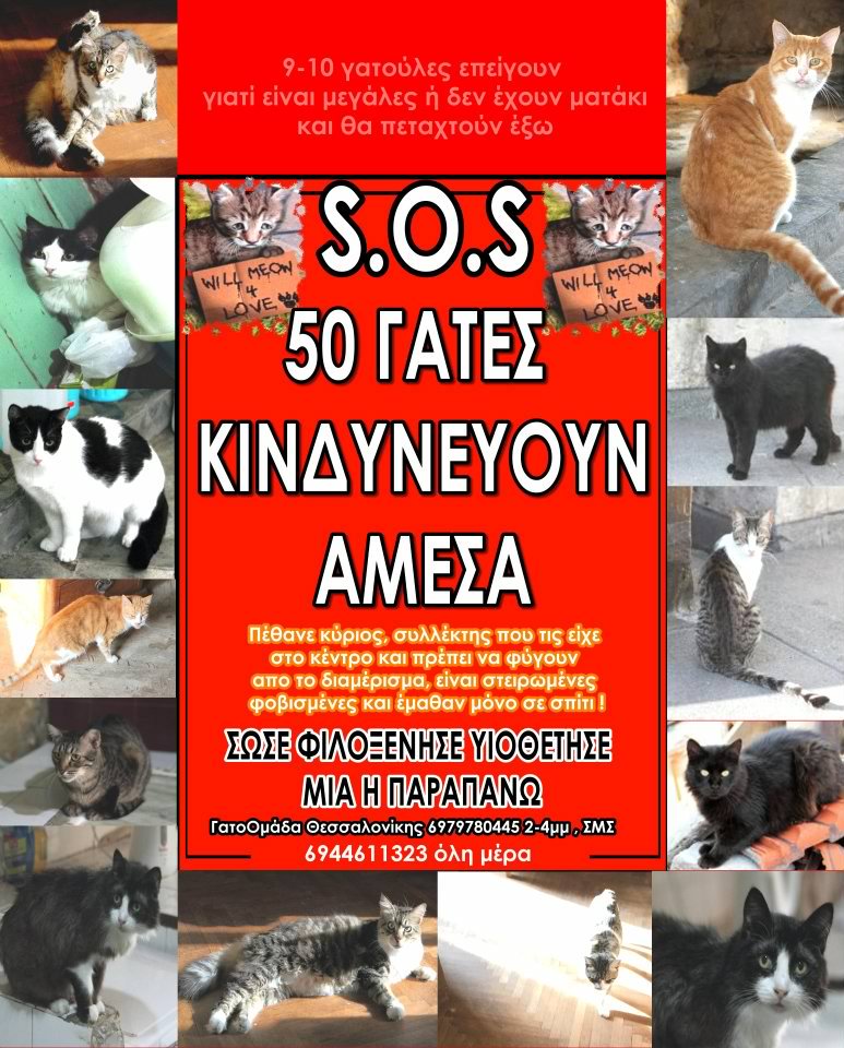 294618_285870401434406_161825510505563_962696_574395968_n-jpg.176404