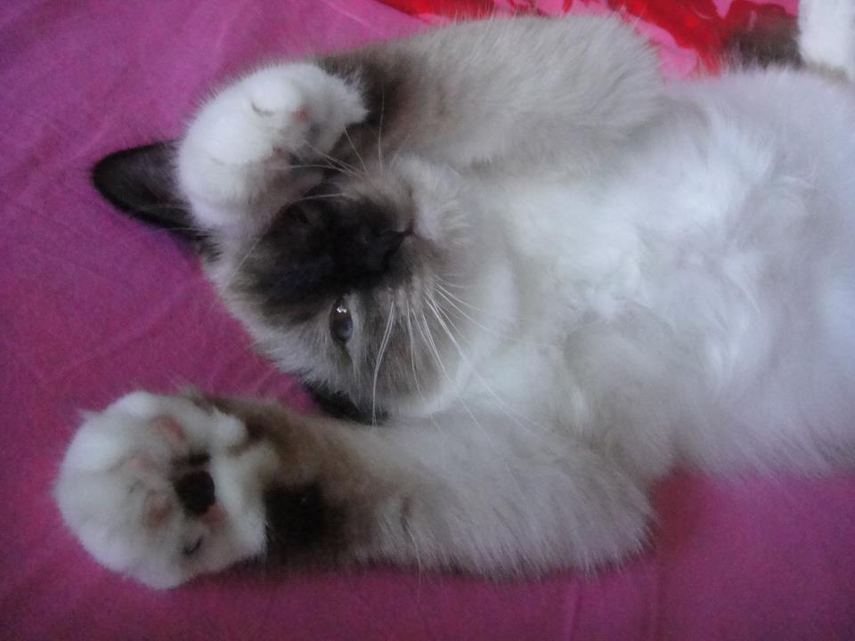 387761_2454402235762_1123248210_2833773_1210044096_n-jpg.176503