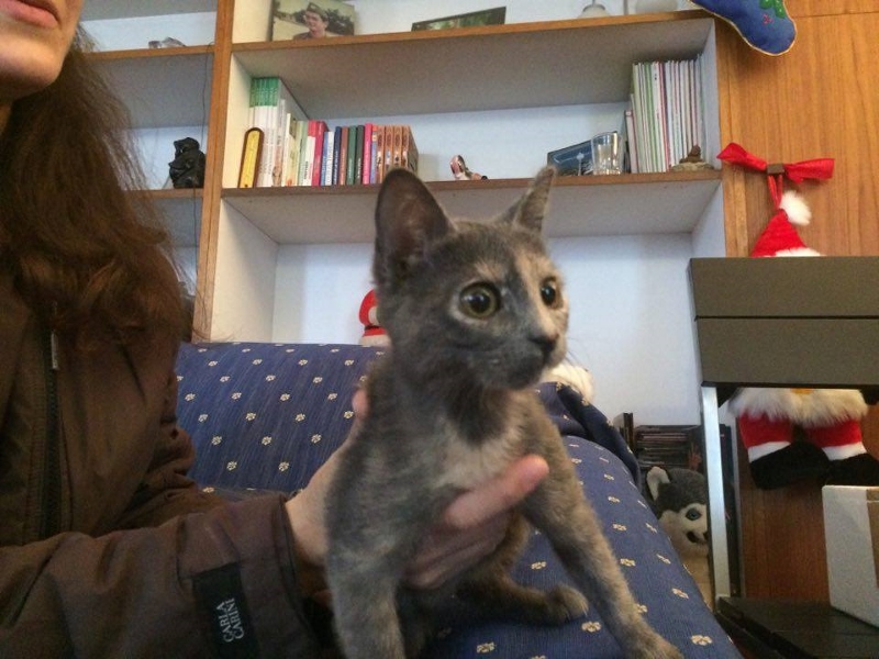 5_n-800x600-jpg.185182