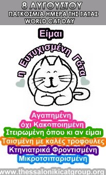 day8augcat2-jpg.173060