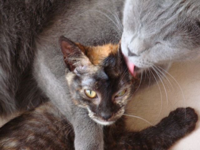 dsc02122_2-jpg.173093