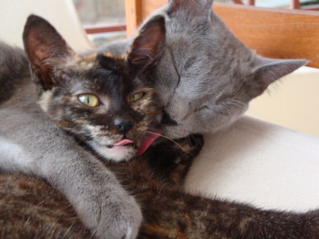 dsc02126_2-jpg.173095