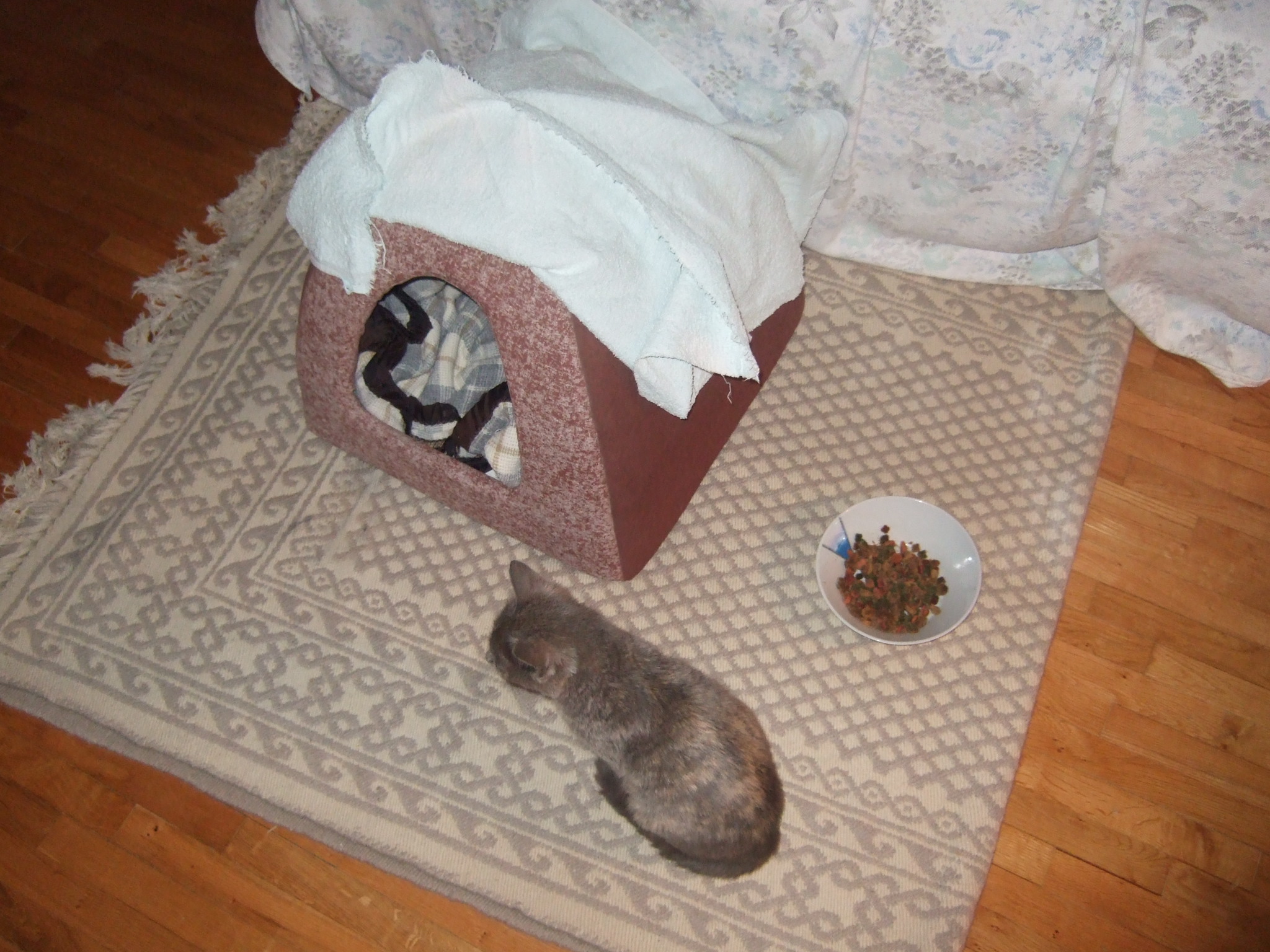 dscf1259-1-jpg.184584