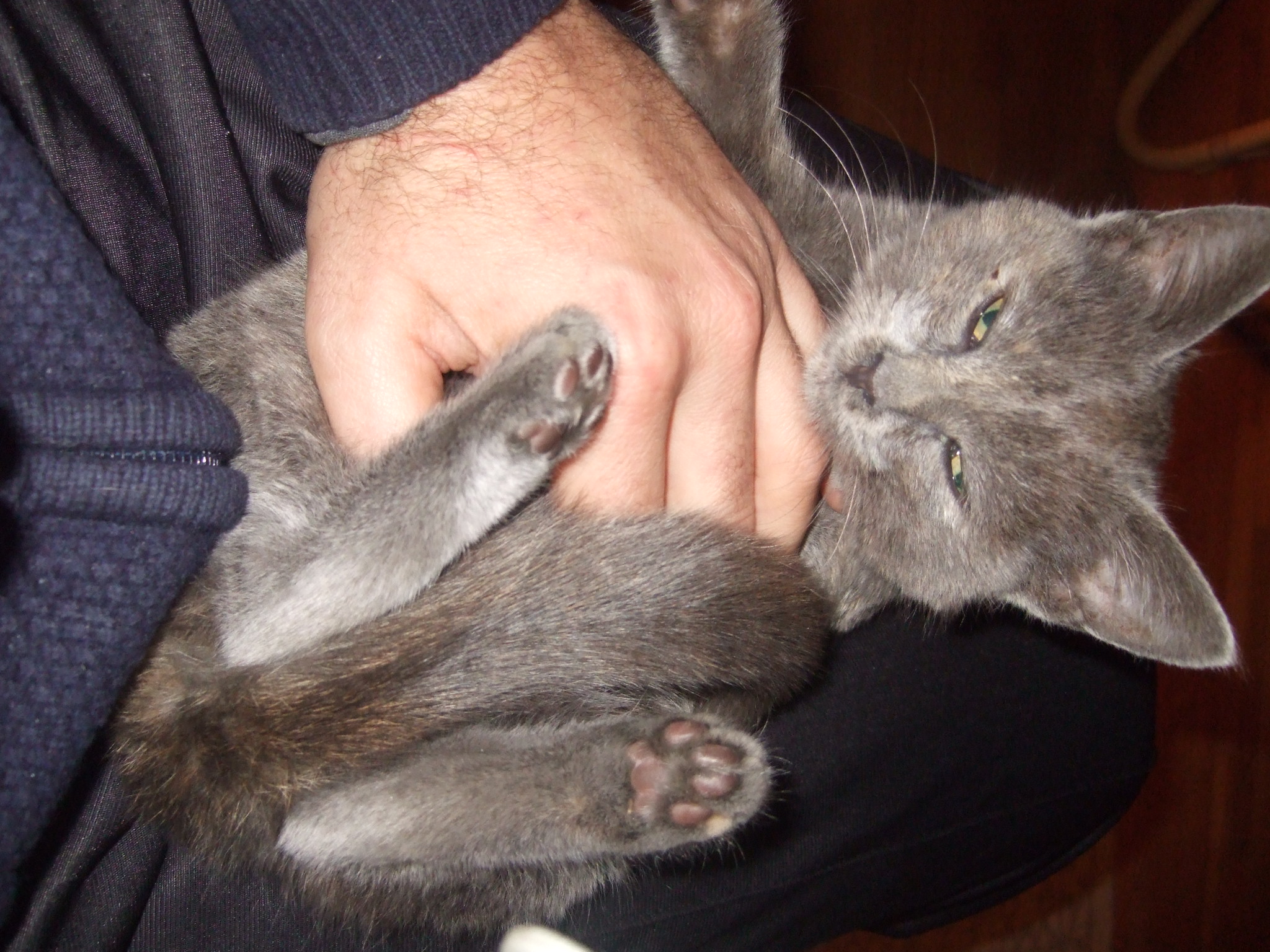 dscf1261-1-jpg.184583