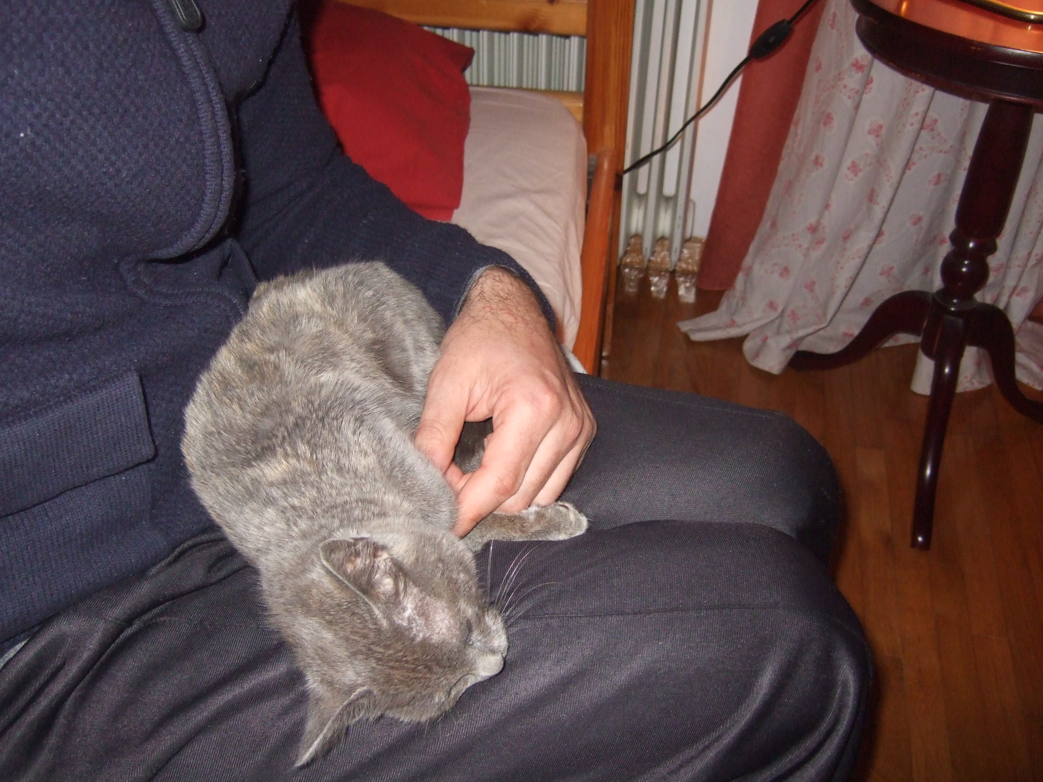 dscf1266-1-jpg.184582