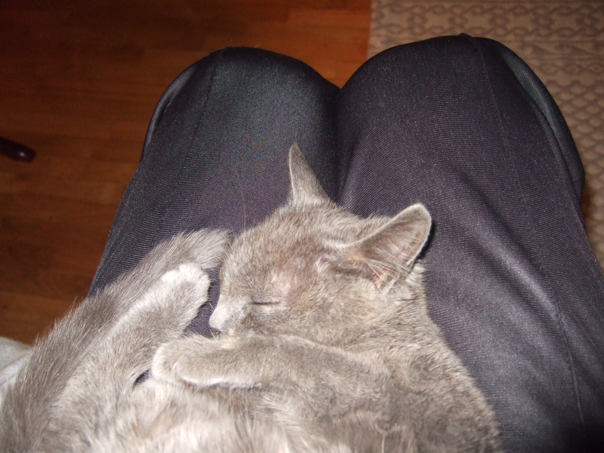 dscf1270-1-jpg.184581