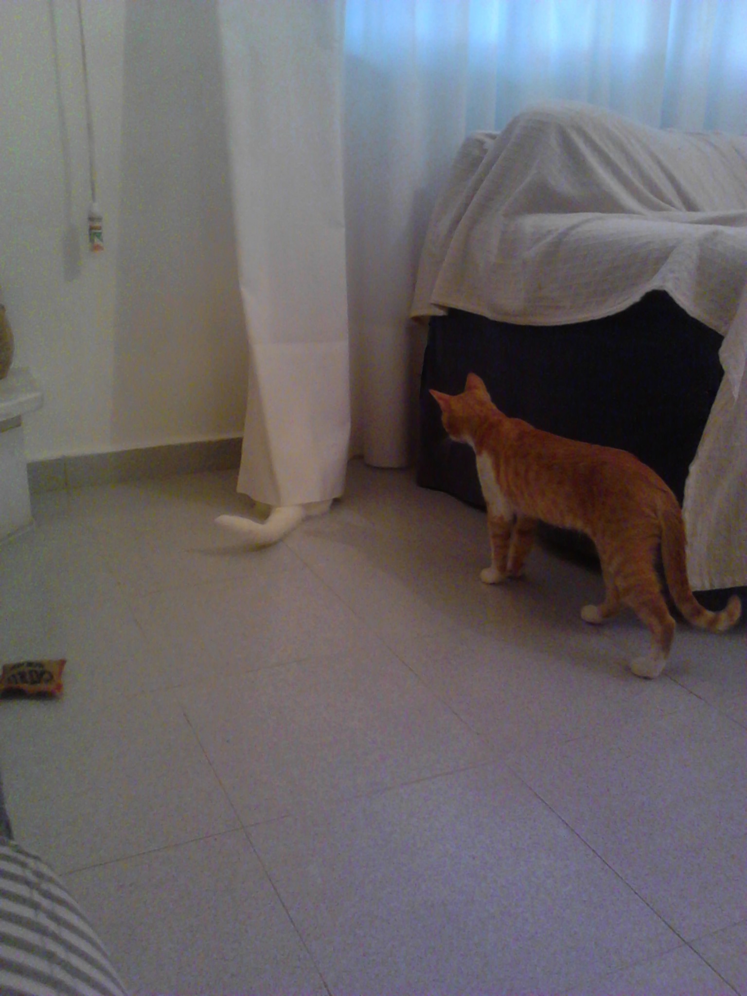 img_20150722_195315-jpg.184301