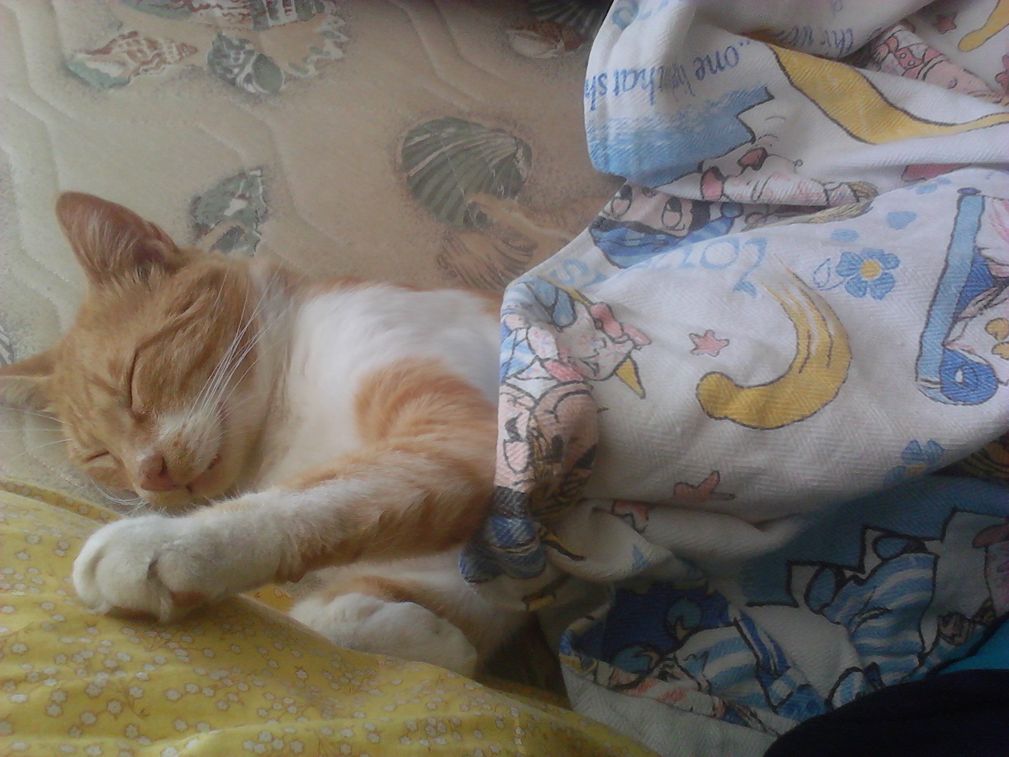 img_20150927_131230-jpg.184369