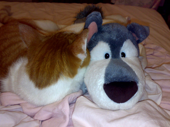 me-and-my-dog-jpg.174610