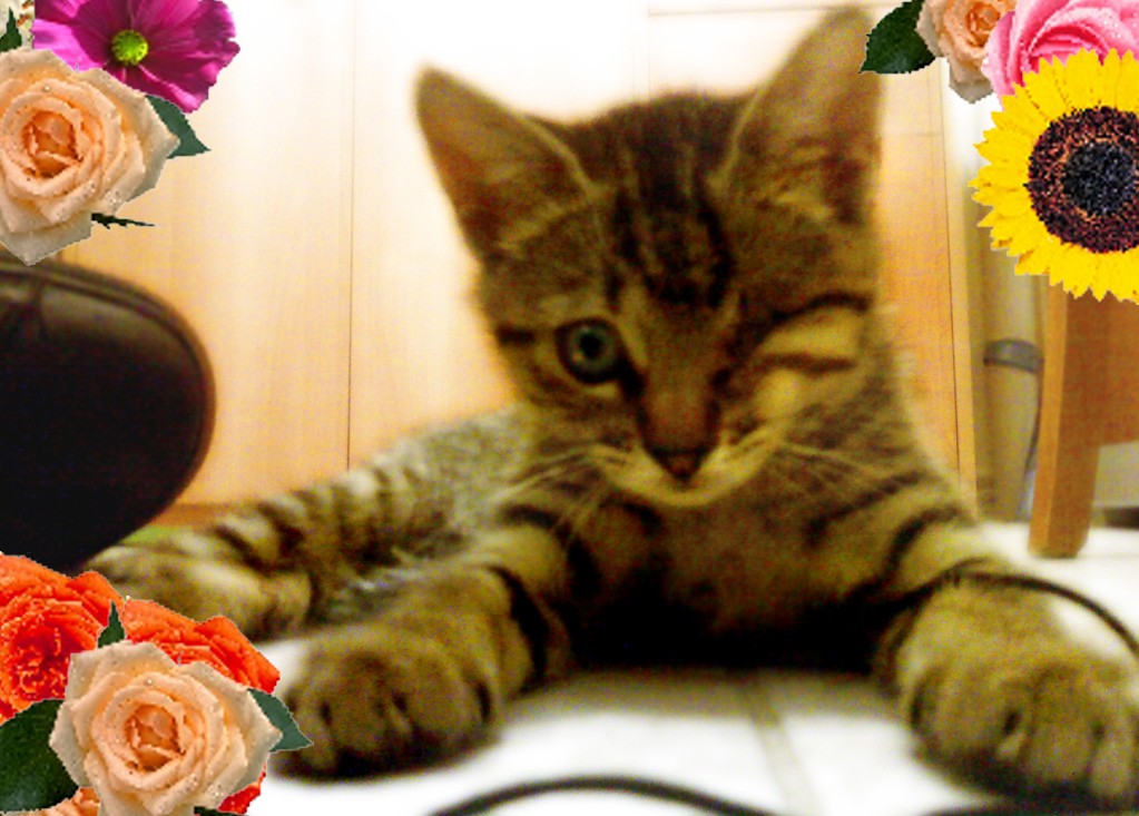 millenianew5-jpg.171933