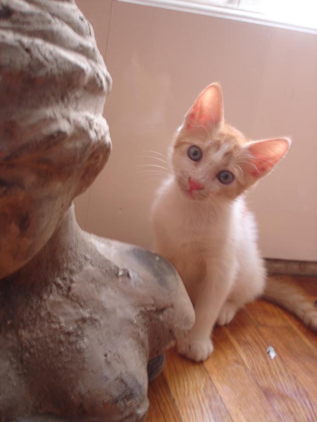 mpempoylin-xryso-jpg.172755