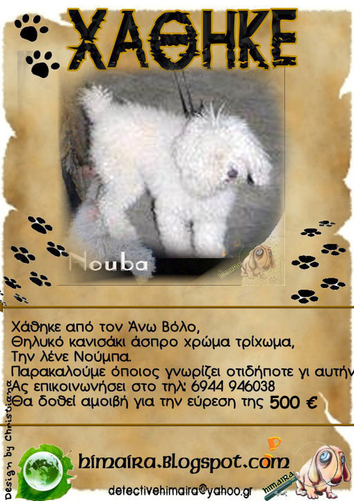 nouba-xathike-3-5-jpg.173559