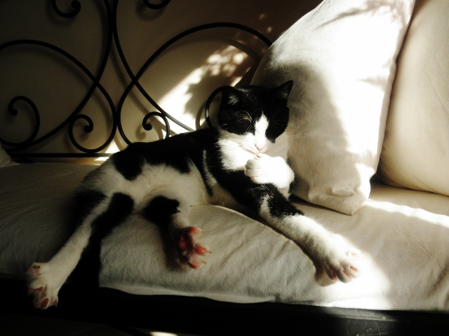 pc120294640x480640x480640x480-jpg.176489