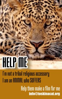 skinacatbanner4-jpg.174505